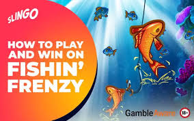 Explore the Excitement of Fishin' Frenzy Demo 333964315